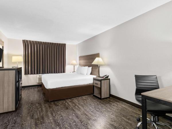 SureStay Hotel by Best Western Albuquerque Midtown : photo 1 de la chambre chambre lit king-size