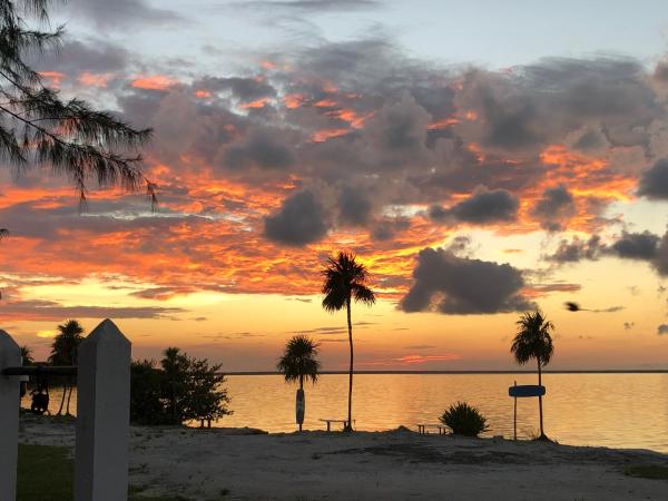 Ikarus Costa Mujeres Eco Lodge Sunset View : photo 5 de la chambre chambre triple avec salle de bains