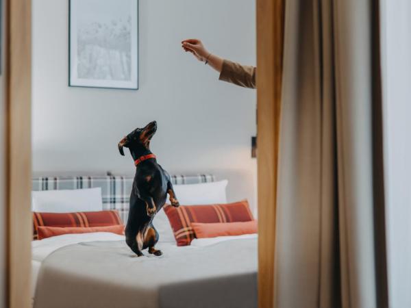 Green Adults : photo 6 de la chambre appartement avec terrasse