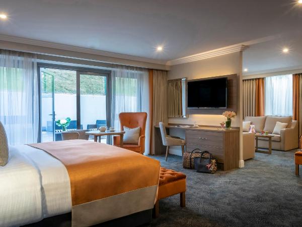 Castletroy Park Hotel : photo 2 de la chambre suite troy