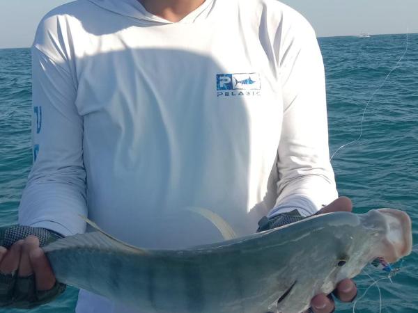 Dubai fishing trip 5 hours : photo 7 de la chambre mobile home