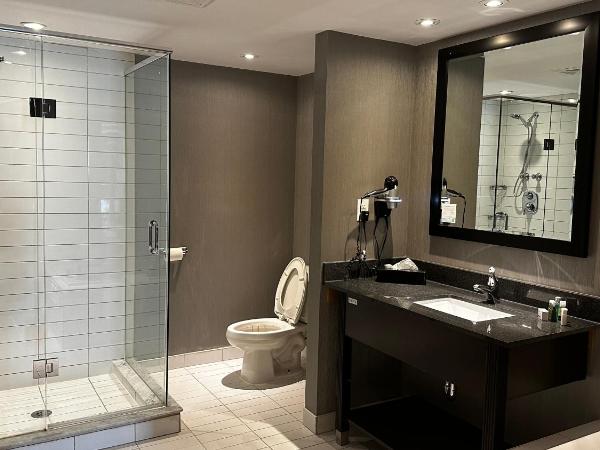 Ramada Plaza by Wyndham Niagara Falls : photo 4 de la chambre suite présidentielle lit king-size