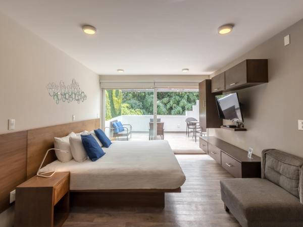 OM 686 URBAN LOFTS Narvarte : photo 6 de la chambre appartement 1 chambre avec terrasse