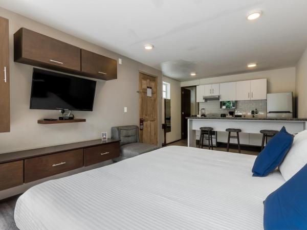 OM 686 URBAN LOFTS Narvarte : photo 2 de la chambre appartement avec terrasse