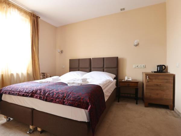 Pałacyk Karkonosze koło Karpacza : photo 4 de la chambre chambre double standard