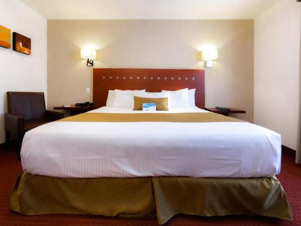 Comfort Inn Queretaro Tecnologico : photo 4 de la chambre king room with no view - non smoking