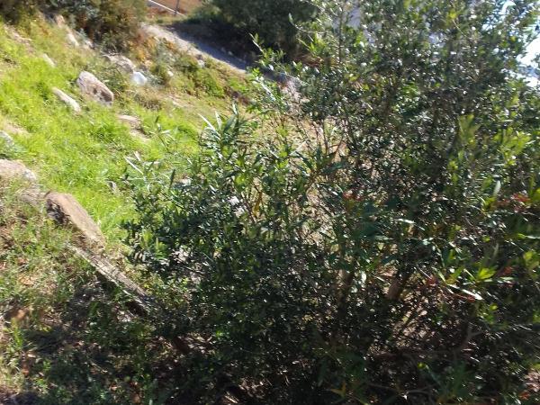 Gite de l'Etang proche des Grands Buffets : photo 3 de la chambre chambre triple - vue sur lac