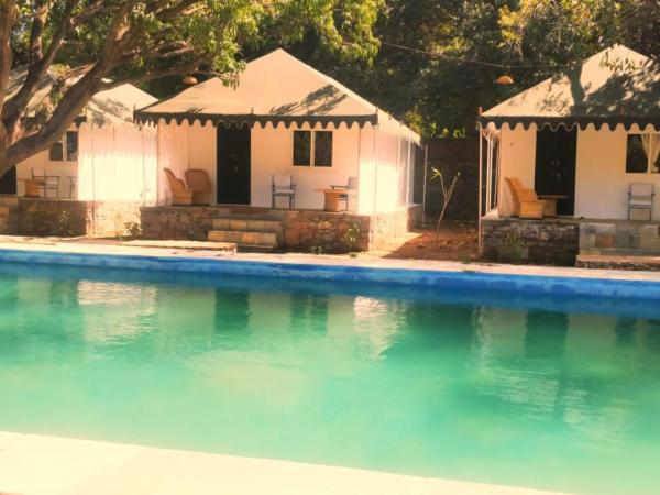 The Chocolate Frog : photo 5 de la chambre tente