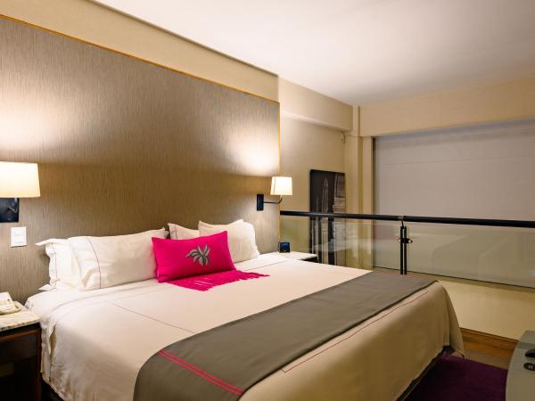 Las Suites Campos Eliseos : photo 2 de la chambre suite