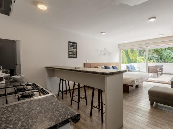 OM 686 URBAN LOFTS Narvarte : photo 8 de la chambre appartement 1 chambre avec terrasse