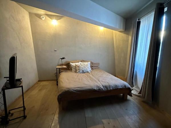 Mulhouse City Loft : photo 2 de la chambre chambre lit queen-size deluxe