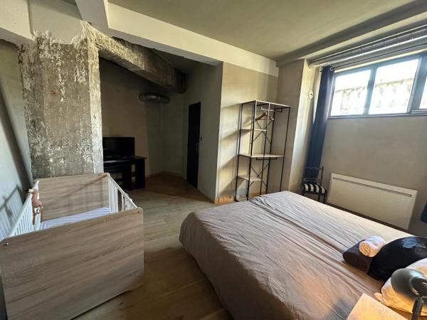 Mulhouse City Loft : photo 4 de la chambre suite junior deluxe