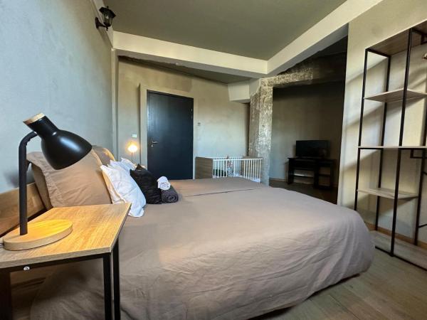 Mulhouse City Loft : photo 6 de la chambre suite junior deluxe