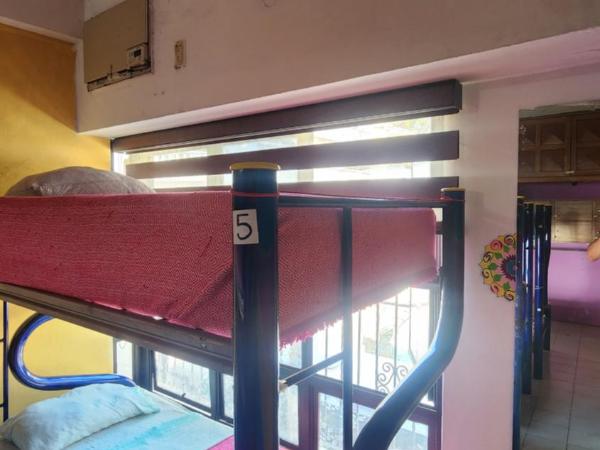Hostel Vallarta : photo 3 de la chambre lit simple dans dortoir mixte