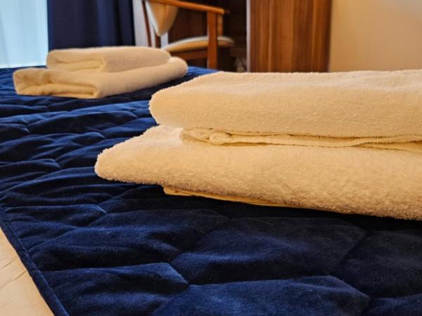 Bursztyn Spa : photo 4 de la chambre chambre simple