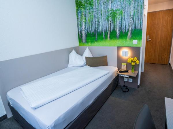 Hotel Waldhorn : photo 1 de la chambre chambre simple affaires