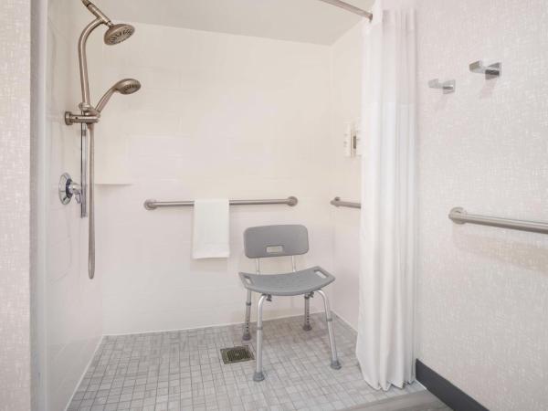 Hampton Inn & Suites-Atlanta Airport North-I-85 : photo 5 de la chambre chambre avec 2 lits queen-size et douche accessible en fauteuil roulant - adaptée aux personnes à mobilité réduite/malentendantes - non-fumeurs