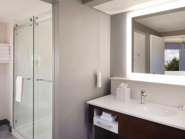 Hampton Inn & Suites-Atlanta Airport North-I-85 : photo 4 de la chambre suite 1 chambre lit king-size avec canapé-lit - non-fumeurs