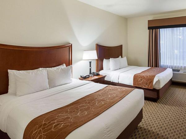 Comfort Suites San Antonio North - Stone Oak : photo 7 de la chambre suite avec 2 lits queen-size - non-fumeurs