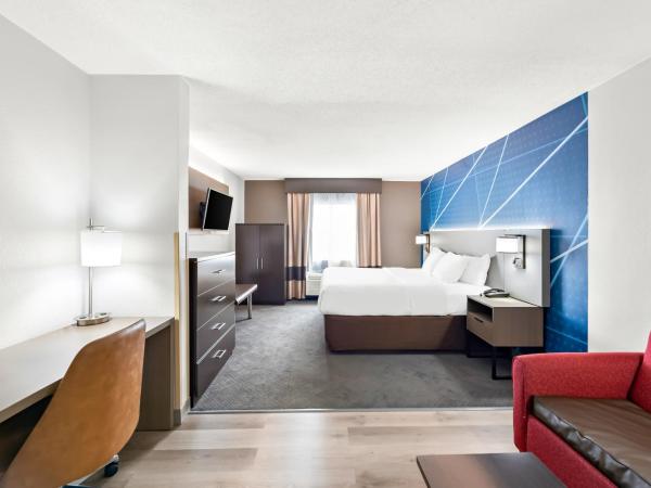 Comfort Suites Columbus : photo 10 de la chambre chambre lit king-size avec canapé-lit