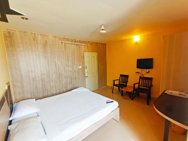 Shree Ganesh Regency : photo 3 de la chambre chambre double standard avec ventilateur