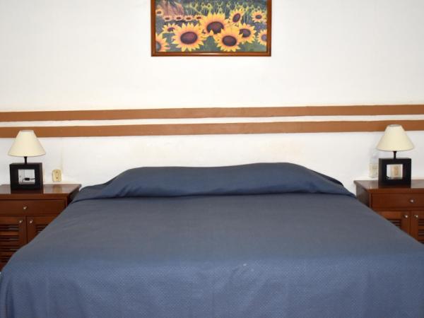 Hotel Plaza Almendros : photo 7 de la chambre chambre lit king-size - vue sur piscine