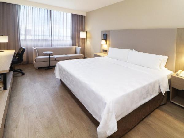 Holiday Inn Monterrey-Parque Fundidora, an IHG Hotel : photo 3 de la chambre chambre lit king-size standard