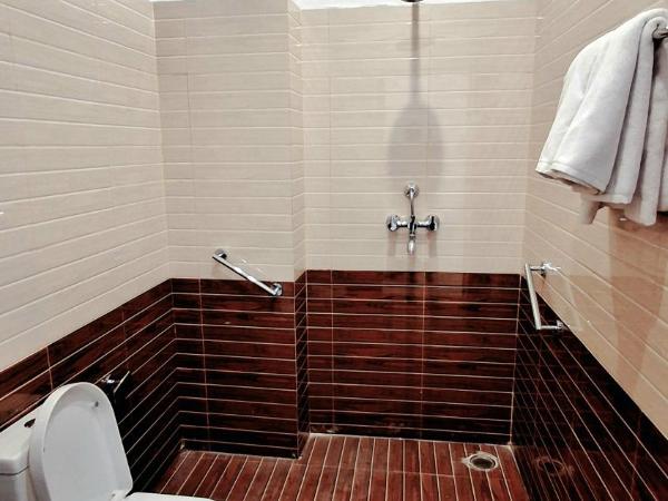 Dev Sneh Residency : photo 9 de la chambre chambre double avec terrasse