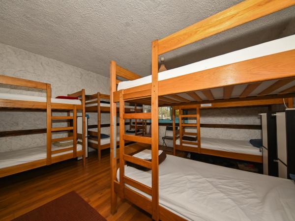 The Lazy Monkey Hostel & Apartments : photo 4 de la chambre lit simple dans dortoir de 10 lits