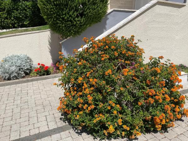 Apartments Luaniva 50m from the see : photo 7 de la chambre chambre double avec balcon - vue sur mer