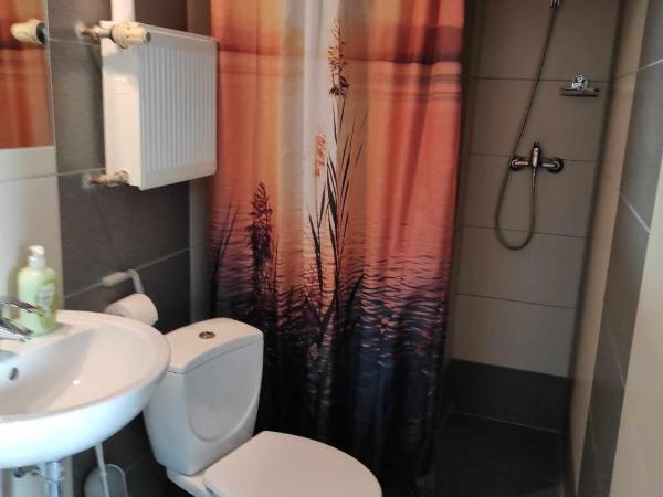 Hot Elf Pokoje Gościnne : photo 9 de la chambre chambre double ou lits jumeaux avec douche