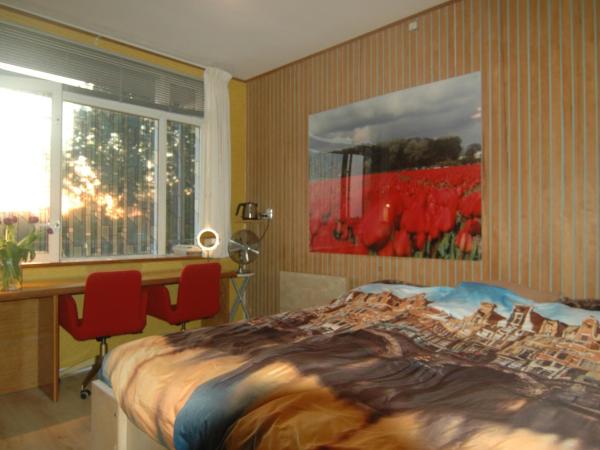 Bed and Breakfast Tulip Gallery : photo 2 de la chambre chambre lit queen-size avec salle de bains commune