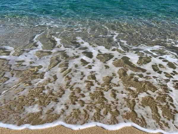 Kon Tiki : photo 4 de la chambre hutte tiki - bungalow (4 adultes + 2 enfants) - vue sur mer