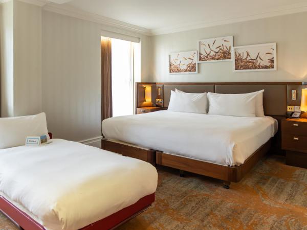 Hilton London Hyde Park : photo 10 de la chambre chambre lit king-size deluxe avec vue