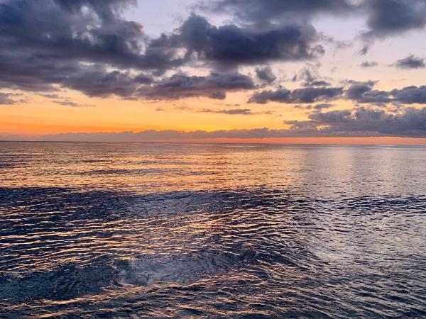 Kon Tiki : photo 5 de la chambre hutte tiki - bungalow (4 adultes + 2 enfants) - vue sur mer