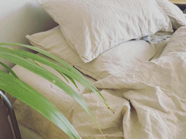 Les Chambres de l'Imprimerie : photo 5 de la chambre maison 3 chambres