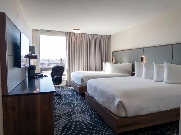 Carriage House Hotel and Conference Centre : photo 2 de la chambre hébergement 2 lits queen-size standard - récemment rénové