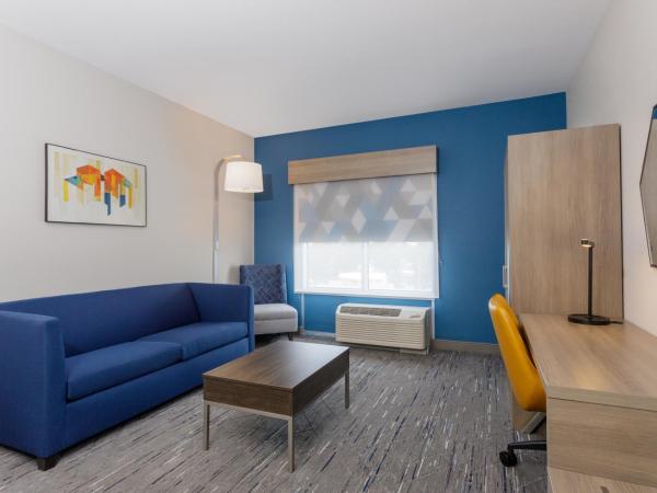 Holiday Inn Express & Suites Tampa Stadium - Airport Area, an IHG Hotel : photo 3 de la chambre suite lit king-size avec douche accessible en fauteuil roulant