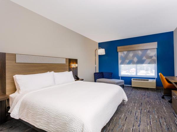 Holiday Inn Express & Suites Tampa Stadium - Airport Area, an IHG Hotel : photo 1 de la chambre chambre lit king-size standard