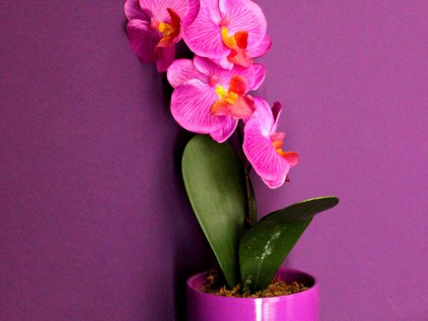 B&B Fanzago : photo 5 de la chambre chambre double