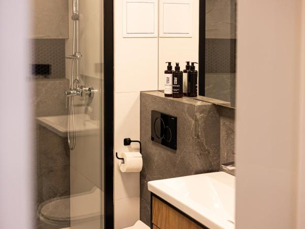 2HomeRent Apartamenty Garbary 12 : photo 7 de la chambre appartement 1 chambre