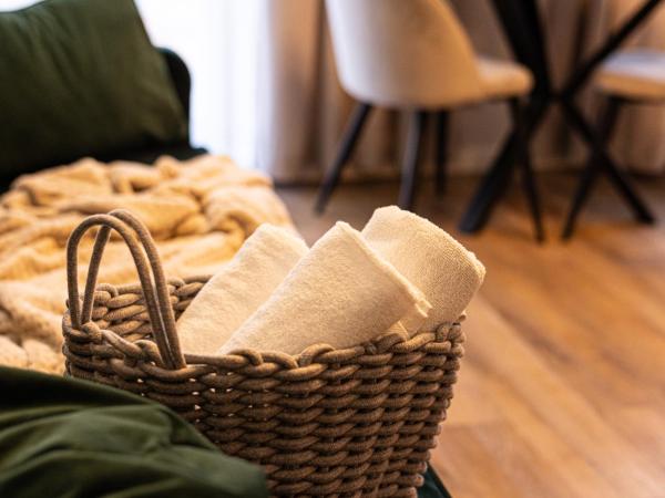 2HomeRent Apartamenty Garbary 12 : photo 10 de la chambre appartement 1 chambre