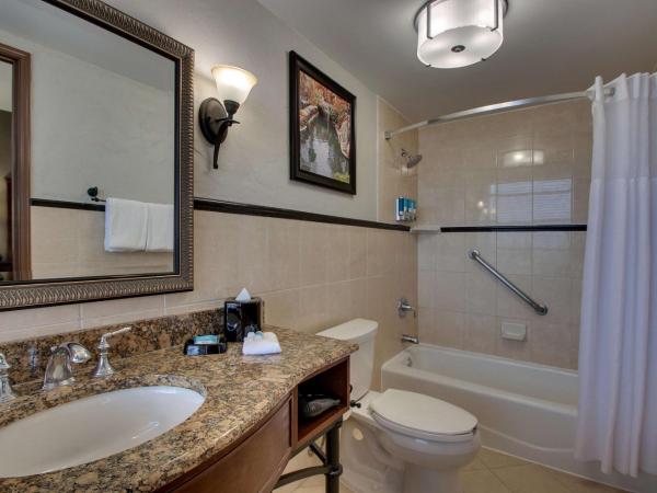 Drury Plaza Hotel San Antonio Riverwalk : photo 4 de la chambre chambre lit king-size deluxe