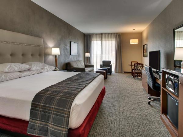 Drury Plaza Hotel San Antonio Riverwalk : photo 2 de la chambre chambre lit king-size deluxe avec canapé-lit