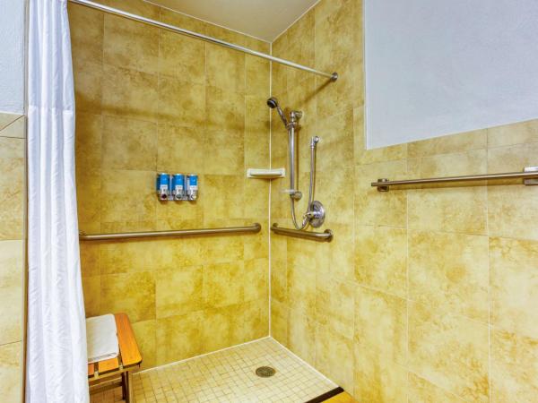 Drury Plaza Hotel San Antonio Riverwalk : photo 5 de la chambre suite lit king-size avec canapé-lit, terrasse, bain à remous et douche accessible en fauteuil roulant - accessible aux personnes à mobilité réduite