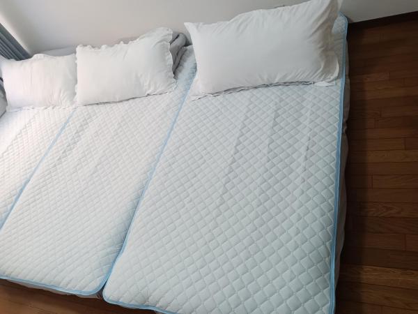 Tokyo downtown : photo 4 de la chambre appartement 1 chambre