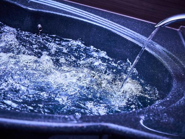 Hotel Balian Resort Kinshicho : photo 3 de la chambre suite avec sauna