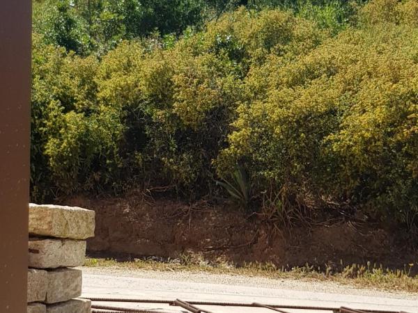 Clos SAN MICHELE- LE PAILLER 2P : photo 9 de la chambre studio