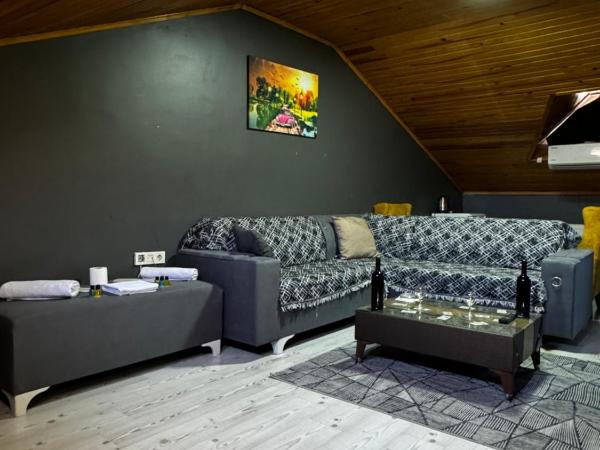 Çınar suit : photo 6 de la chambre appartement