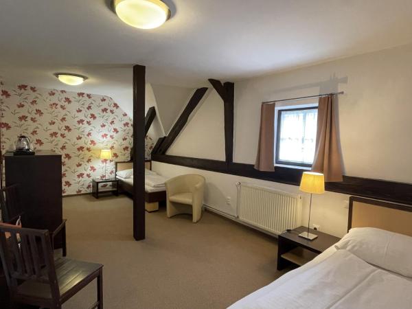 Wellness Hotel Svachovka : photo 3 de la chambre chambre familiale